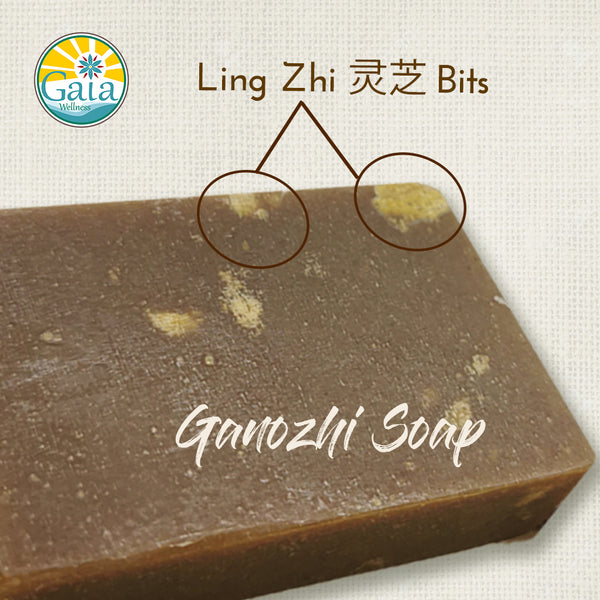 Ganozhi (灵芝) Soap (Antiviral + Antibacterial)