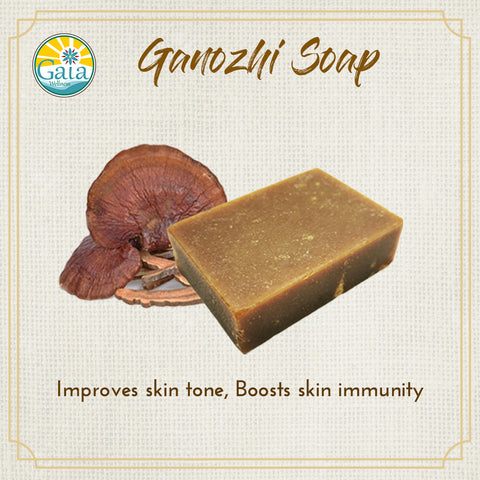 Ganozhi (灵芝) Soap (Antiviral + Antibacterial)