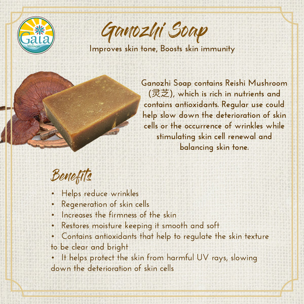 Ganozhi (灵芝) Soap (Antiviral + Antibacterial)