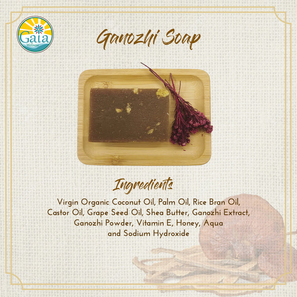 Ganozhi (灵芝) Soap (Antiviral + Antibacterial)