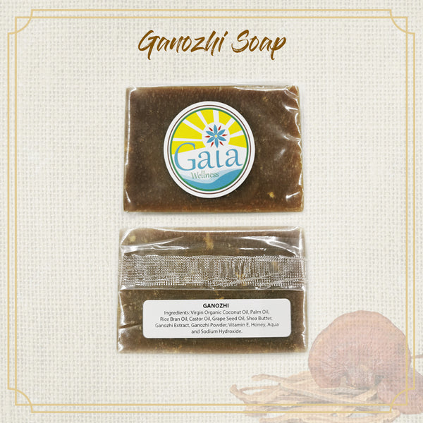 Ganozhi (灵芝) Soap (Antiviral + Antibacterial)